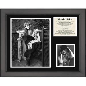 imageFramed Stevie Steve Nicks Discography 11quotx14quot Music Three Photo Collage
