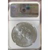 imageHall of Fame Sports Memorabilia  2013 W America Silver Eagle  First Release Burnished  1 NGC MS70  The Perfect Grading
