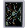 image2025 Topps Chrome SpongeBob Squarepants 25th Anniversary Squidwards Talent Show 184 TV Show Card Near Mint