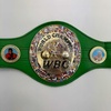 image:imageAutographedSigned Floyd Mayweather Jr WBC Green Boxing Replica Championship Belt JSA COA